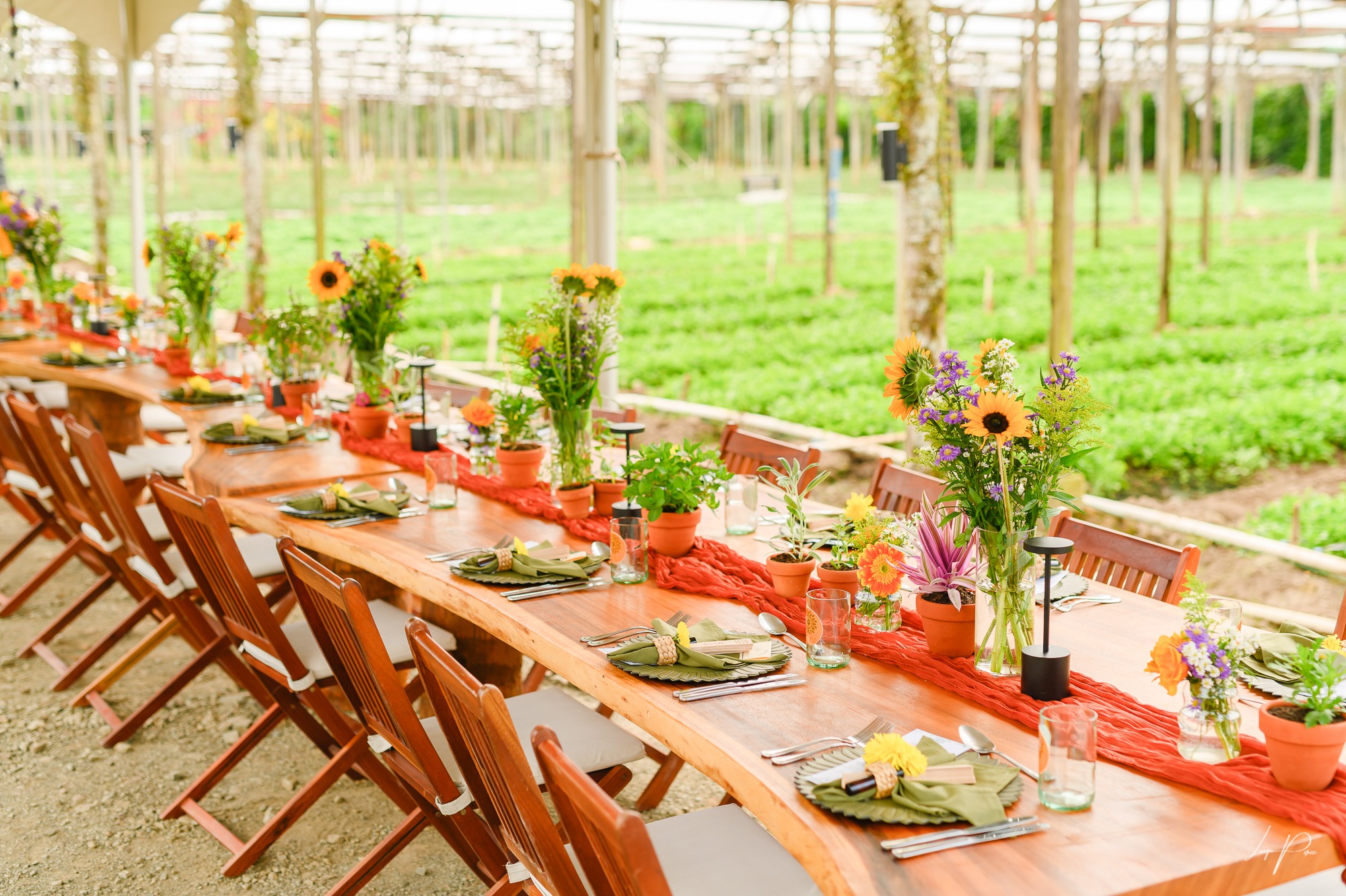 A vibrant farm-to-table dining experience at La Table